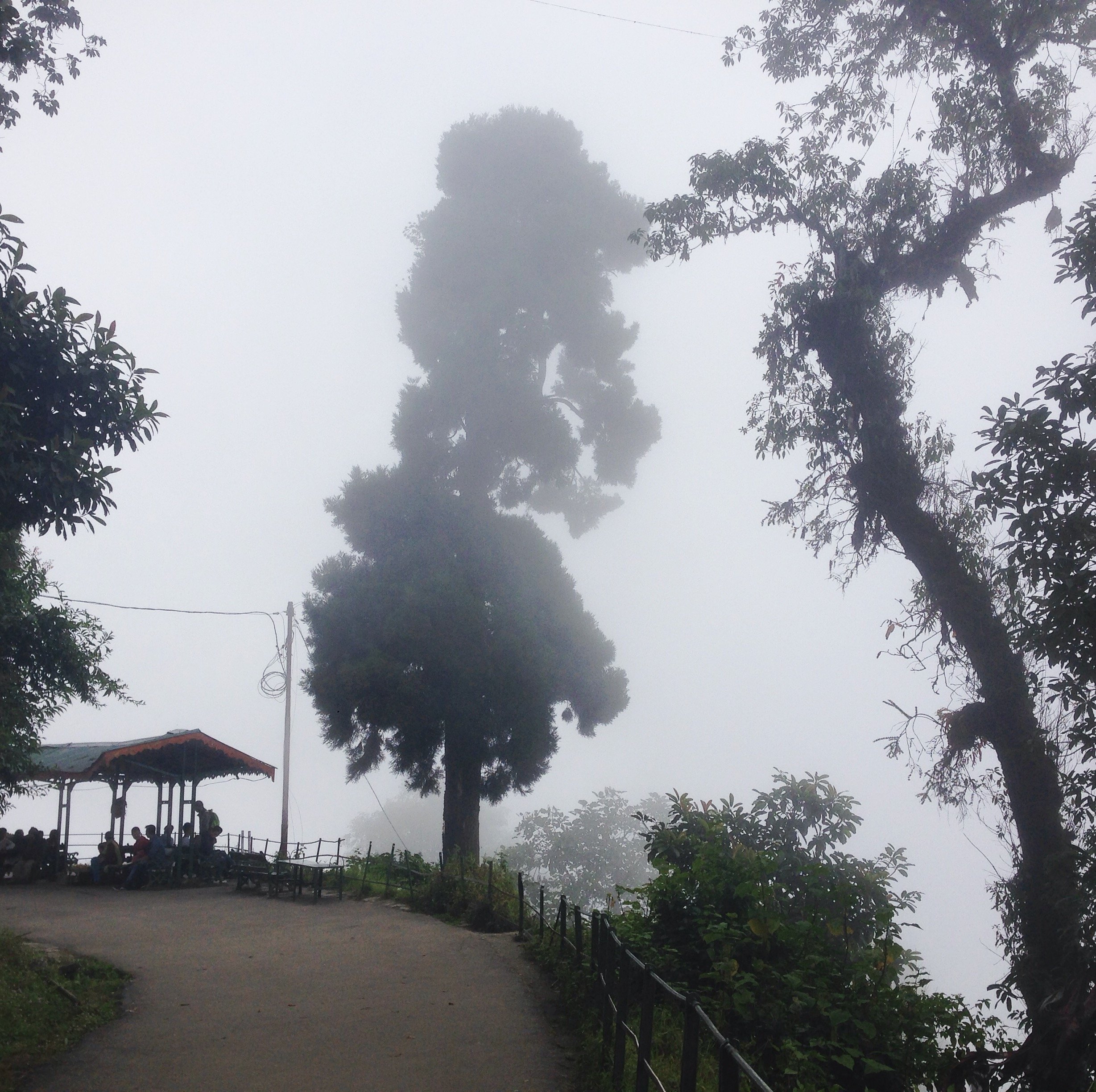 Darjeeling et son bruillard