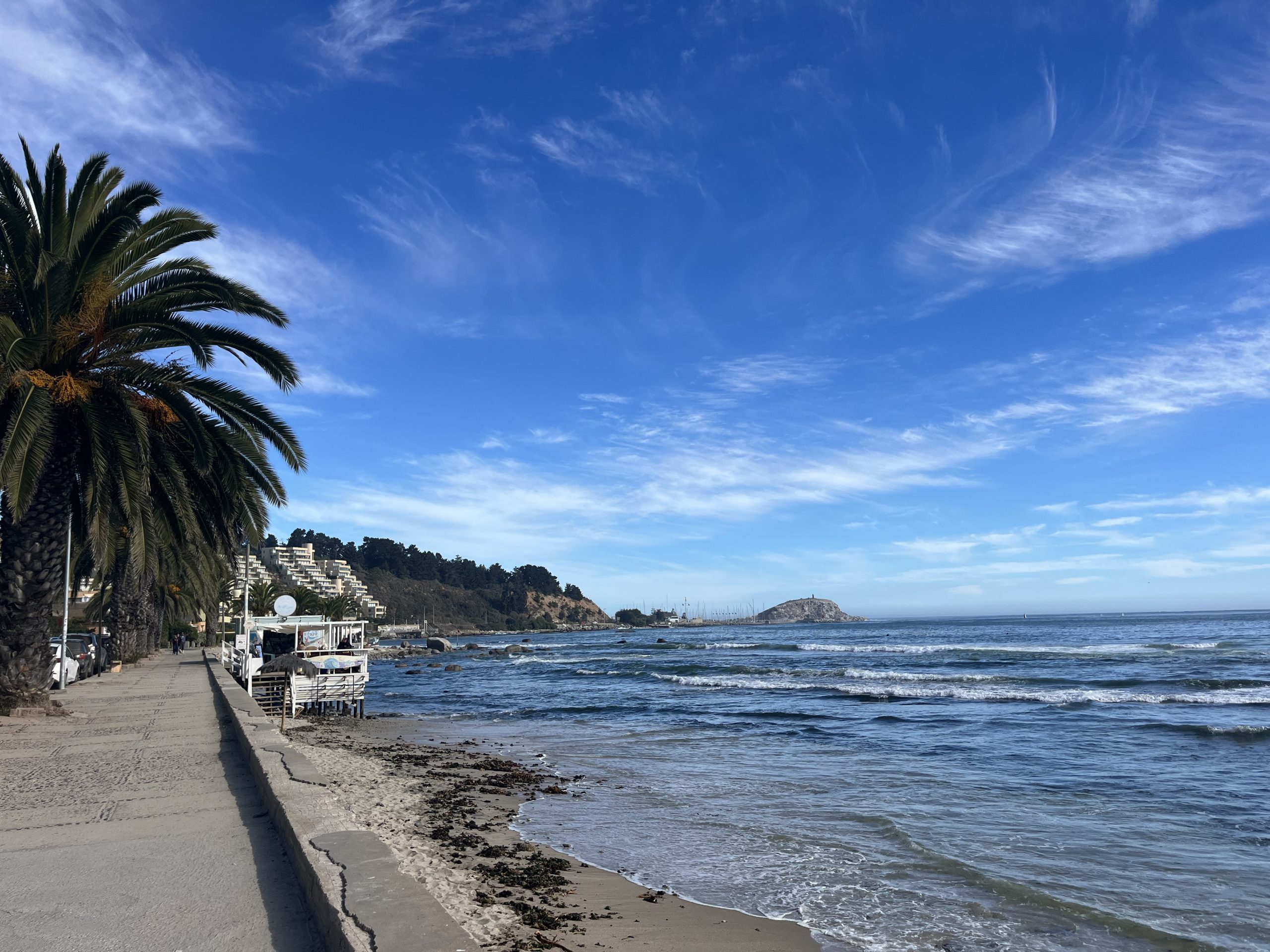 Algarrobo